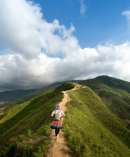 pexels-quang-nguyen-vinh-222549-2132126