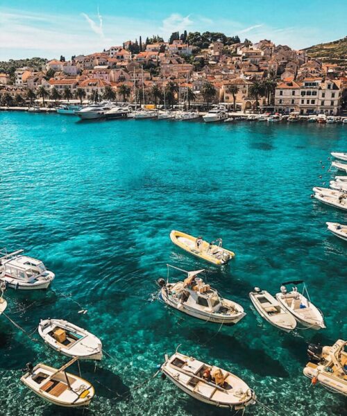 pexels-vince-2265876